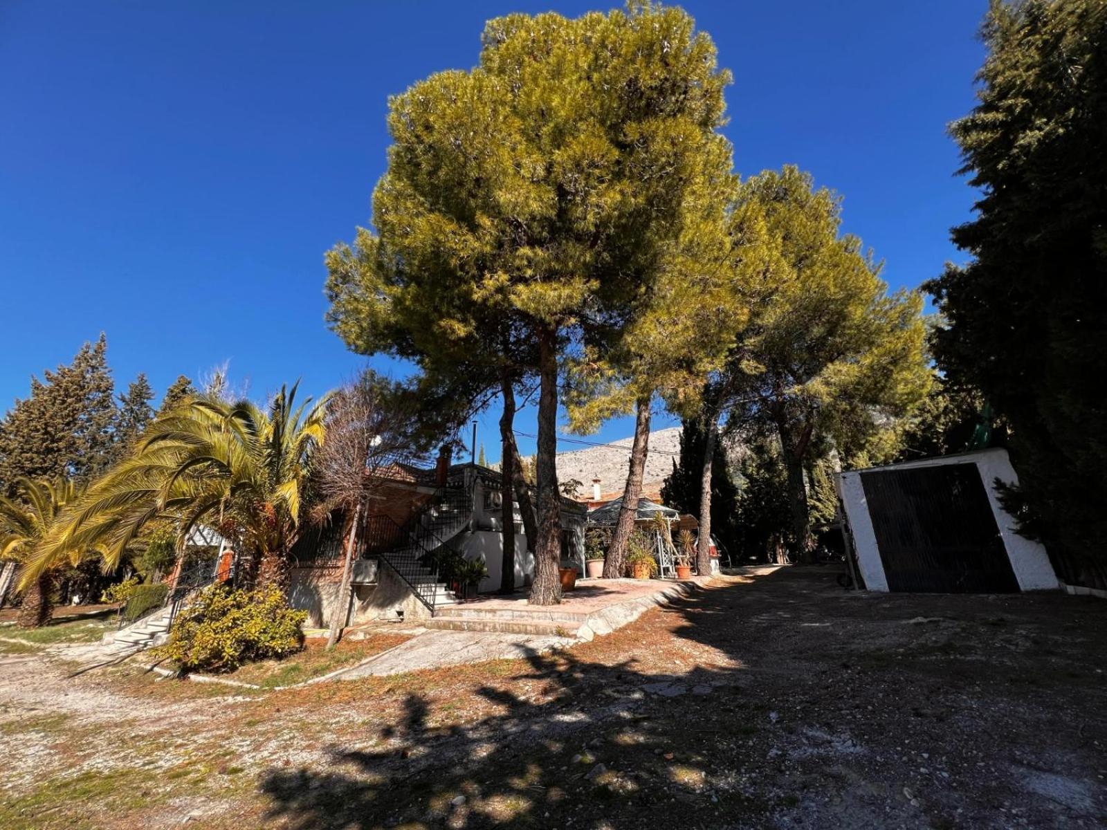 Villa Lazaro อัลฟาการ์ ภายนอก รูปภาพ